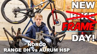 NEW FRAME DAY | Norco Aurum HSP vs Range DH Mullet