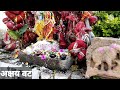 मां डिडिनेश्वरी देवी मंदिर मल्हार । dindeshwari temple malhar chhattisgarh । malhar chhattisgarh