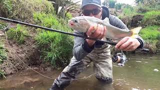 Flyfishing vs spinfishing for nz trout