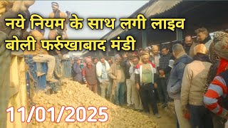 11/01/2025 | लाइव बोली, फर्रुखाबाद मंडी आलू का भाव | farrukhabad mandi aalu ka bhav