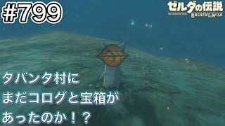 【#799】タバンタ村跡にコログあり！[ゼルダの伝説 ブレスオブザワイルド]