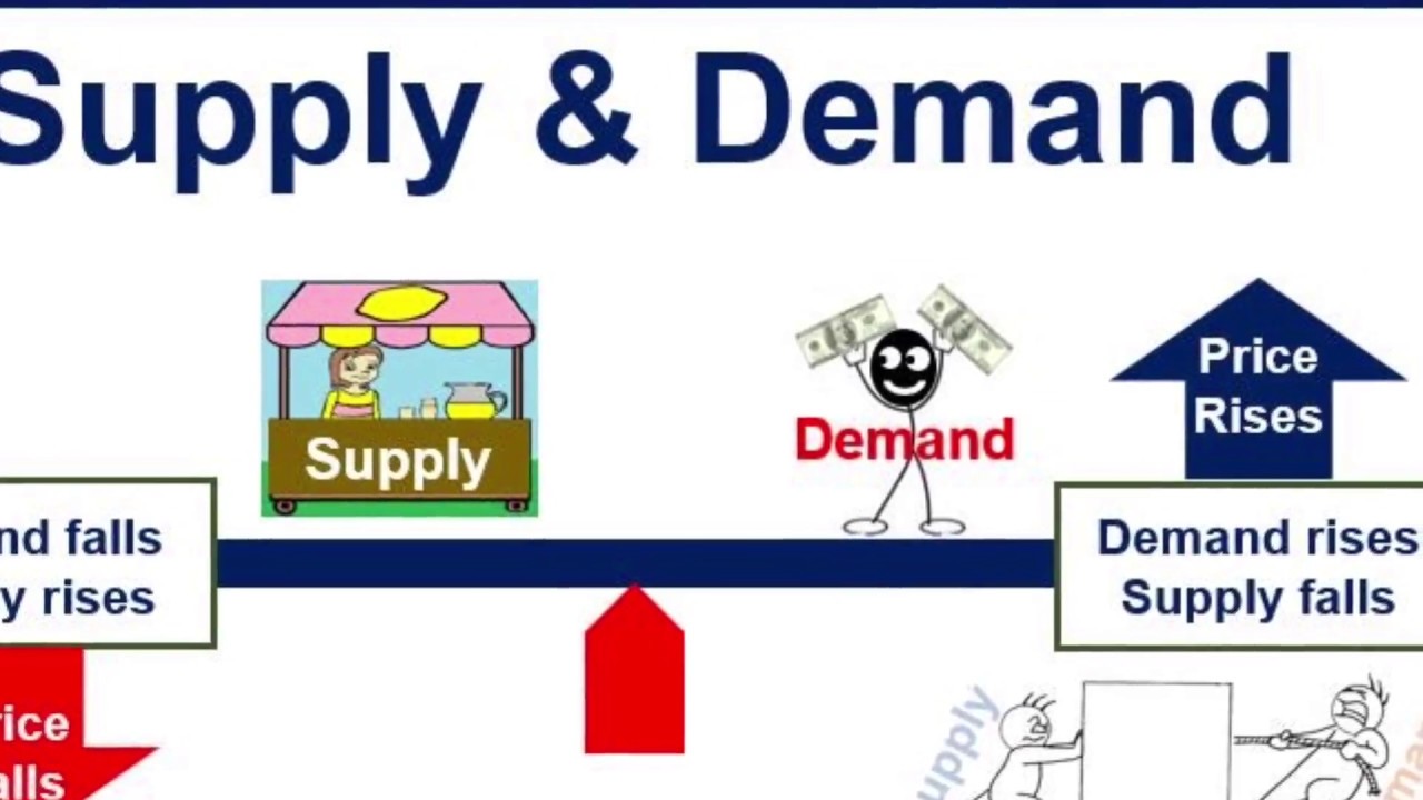 Supply And Demand Diagram With Explanation At Rosemarie Youngblood Blog
