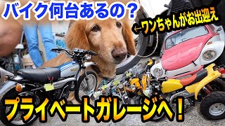 夢のプライベートガレージへ！旧車からレアバイクまでズラリ！ハーレーダビッドソンのセカンドバイクも探し中？【TGM】