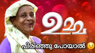 ഉമ്മ മരിച്ചവർക്കേ ഉമ്മയുടെ വേർപാട് മനസ്സിലാവൂ..!