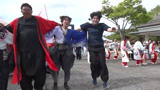 総踊り「コバトンよさこい」 / 福島空港公園よさこい祭り / 2024-05-12