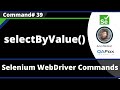 selectByValue() Command - Selenium WebDriver