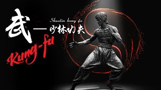 中国功夫-少林功夫（Chinese kung fu-Shaolin kung fu）