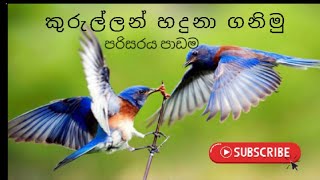 කුරුල්ලන් හදුනා ගනිමු