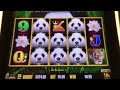 Dragon Link Slot Machine 🐉🔗🎰| Panda Magic Casino Session 🐼✨