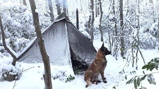 Winter Snowstorm Camping With My Dog | Bushcraft Survival, Stove Cooking, Nature Movie, Asmr