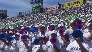 【2019夏甲子園】飯山高校応援。野球部員、生徒、チアリーダー、吹奏楽！とにかく凄い！！