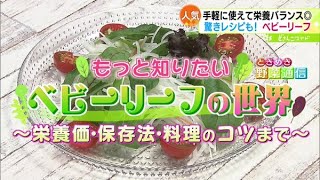 ときめき野菜通信〜もっと知りたい！ベビーリーフの世界—栄養価・保存法・料理のコツまで—【どさんこワイド179】2023.05.30放送