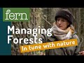 Managing forests for the future: the benefits of close-to-nature forestry