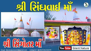 Shree Sindhvai maa tample | singotar mata | सिंगोतर माता @jaymatajiofficial.