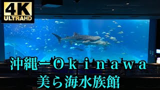 【4K】美ら海水族館【沖縄】