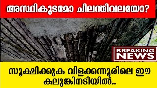 അസ്ഥികൂടമോ ചിലന്തിവലയോ? സൂക്ഷിക്കുക വിളക്കന്നൂരിലെ ഈ കലുങ്കിനടിയിൽ..