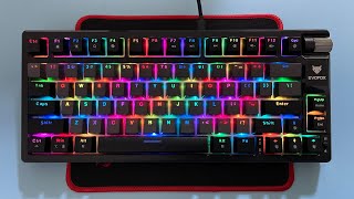 EvoFox Ronin TKL Mechanical Keyboard Review#gaming #review #gamingkeyboard