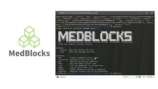 MedBlocks: Concept and Demonstration