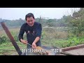 780买个牛头，做红扒牛头香辣十足， 邻居闻到香都来尝一下【刘大瓜】