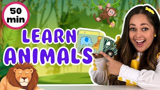 Learn Animals For Kids | Animal Songs, Old MacDonald, 5 Little Monkeys | Toddler Learning Videos