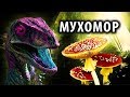 МУХОМОР: Исследования, Реальные Эффекты