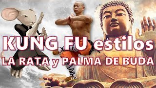 LA RATA DEL KUNG FU 🐭(Choy Gar) y LA PALMA DE BUDA (Fut Gar Kung Fu)