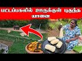 சமையல் செய்யும்போது ஊருக்குள் புகுந்த யானை 🐘 | village life ♥️| vanni vlog