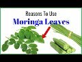 Moringa leaves science based health benefits and uses