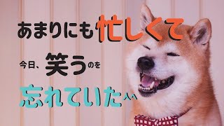 忙しさのあまり心に余裕がなくなり、イライラしていた一週間。それを人のせいにしてませんか？～耳で聴く日本講演新聞