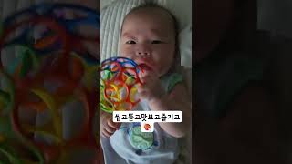 4개월 아가 씹고뜯고맛보고즐기고 알아들으면 최소 90년대생 #아기 #baby #육아브이로그