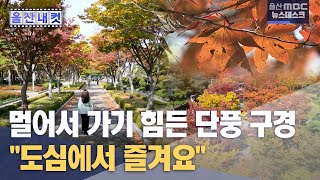 [울산내컷] \