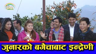 कृष्ण कंडेल र खिमा रोकाले सिन्धुलीमा आयर जुनार खेति गर्छु  भन्दा कृषक परे दङ्ग।०७५-११-१७HD