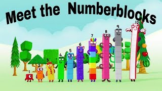 Meet the Numberblocks! | Introducing Numbers 1 to 20! | Learn To Count