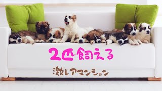 ドッグランがあるマンション^_^ フュージョナル東墨田①