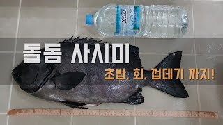 돌돔 5짜 회 뜨기! 껍데기까지 버릴것이 없다!