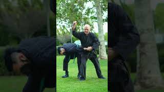 It Doesn't Matter How Many Techniques You Know #shorts #bujinkan