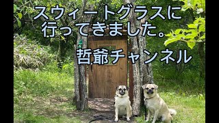 タスク(チワワとパグのMIX)とフウガ(パピヨンとパグのMIX)を連れて北軽井沢スウィートグラスに行きました。今回はハンモックキャビンＷithドッグに二泊三日してきました。