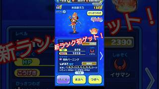 ぷにぷに米良獅子乃の性能とミッション!!#ぷにぷに #ゲーム #攻略