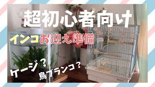 【超初心者向け】インコお迎え準備