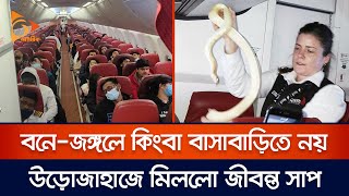 বনে-জঙ্গলে কিংবা বাসাবাড়িতে নয় উড়োজাহাজে মিললো জীবন্ত সাপ | Snake | Nagorik TV