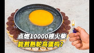 老外做实验，点燃10000根火柴能煎熟鸵鸟蛋吗？