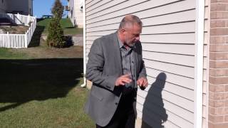 Termite Pest Inspection Video 1