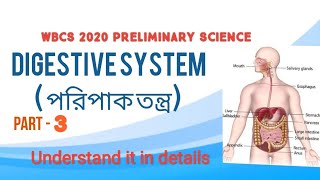 তৃতীয় পার্ট - মানব পরিপাকতন্ত্র | অন্তিম পার্ট।