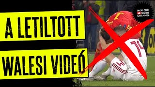 A LETILTOTT WALESI VIDEÓ - TrollFoci S2E36