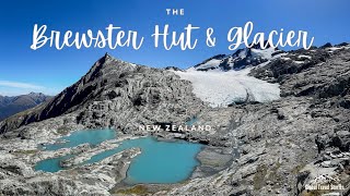 The Brewster Hut & Glacier | Epic New Zealand Adventure!