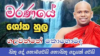 මරණයේ ශෝකය සිඳලන අපූරු ක්‍රමය | wen.welimada saddhaseela thero