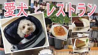 【ペット同伴可】【店内】愛犬とオシャレなレストランを満喫！｜むぎや｜横浜｜神奈川｜ドッグカフェ #1