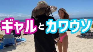 【カワウソげんき】海で可愛い子に大人気！【otter GENKI】Very popular from cute girls at the sea！