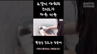 고양이 목욕의 난이도가 다른이유