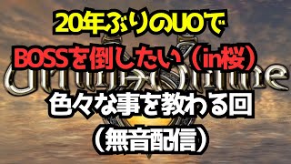 12　ウルティマオンライン（UO）　20年ぶりのプレイでBOSSを倒したい